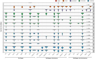 What Can Long Terminal Repeats Tell Us About the Age of LTR Retrotransposons, Gene Conversion and Ectopic Recombination?